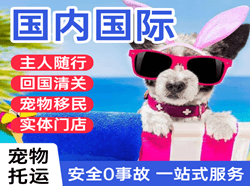 信阳明港空运代理国际宠物托运 【国